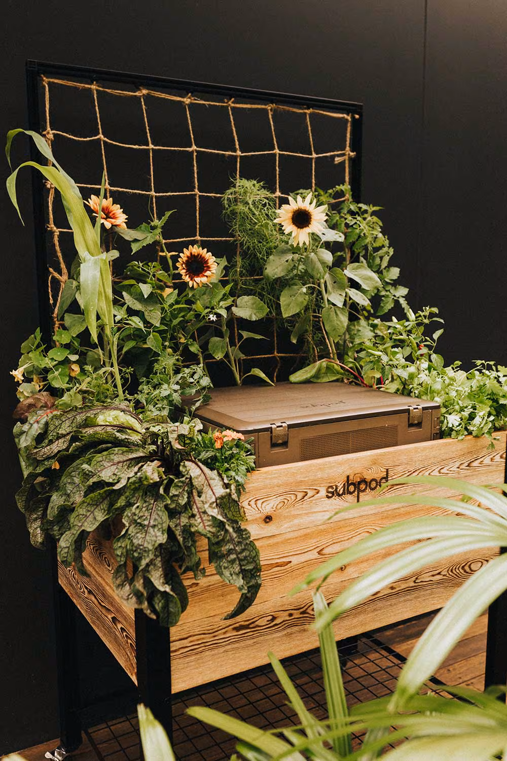 Happy International Compost Awareness Week!