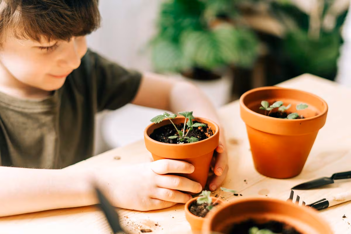 Get School Kids Composting!