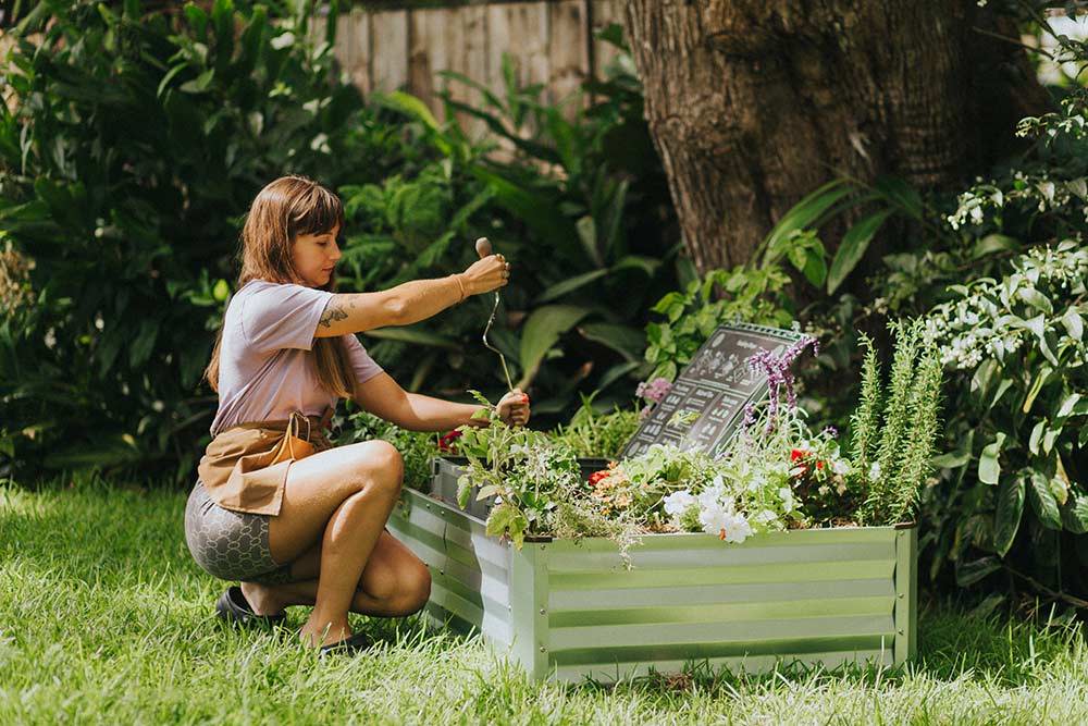 How Subpod Offsets its Own Carbon Footprint