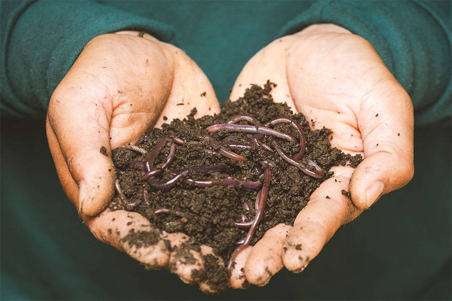 Get Your Subpod Worm Ready in 3 Easy Steps