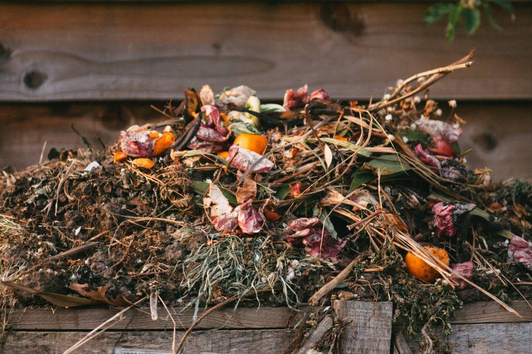 Debunking 10 common compost myths